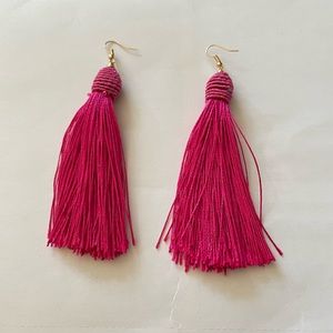 NWT Fringed earnings